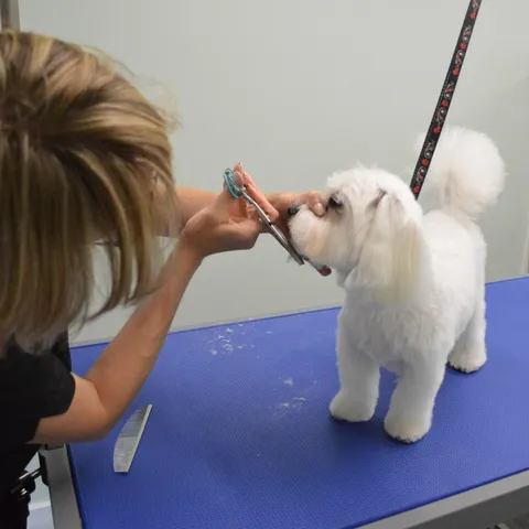 Snow having a final scissor finish