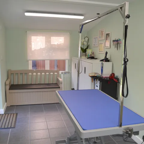 Inside the Every Dog Has Its Day grooming parlour