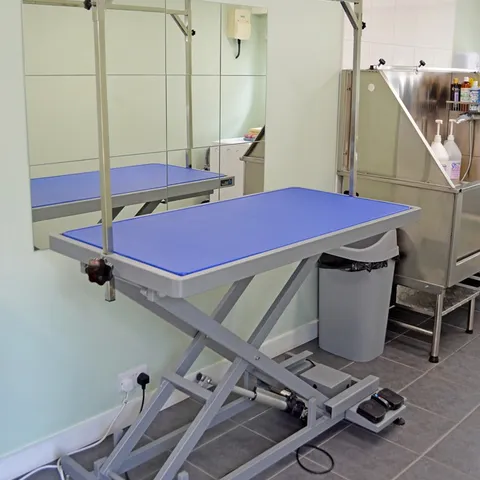 Inside the Every Dog Has Its Day grooming parlour