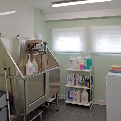 Inside the Every Dog Has Its Day grooming parlour