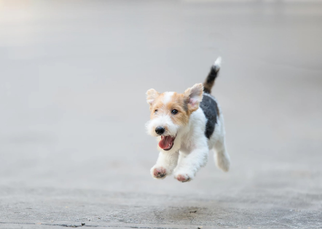 Bootstrap Touch Slider